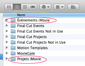 CapturFiles.png